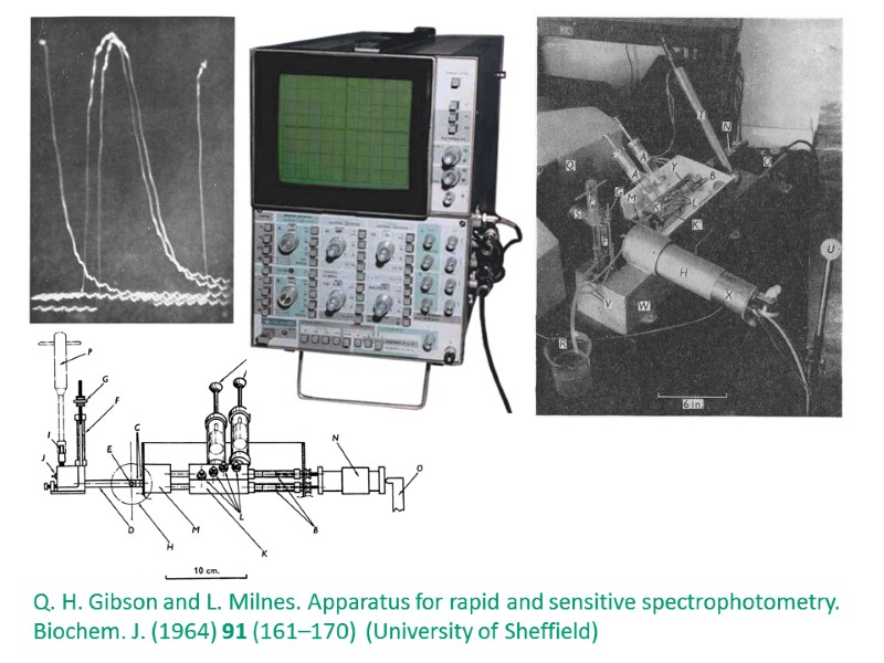 Q. H. Gibson and L. Milnes. Apparatus for rapid and sensitive spectrophotometry. Biochem. J.